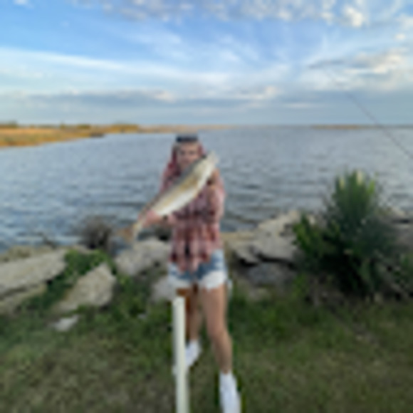 Meet your Posher, Ainsley - Picture 1 of 1